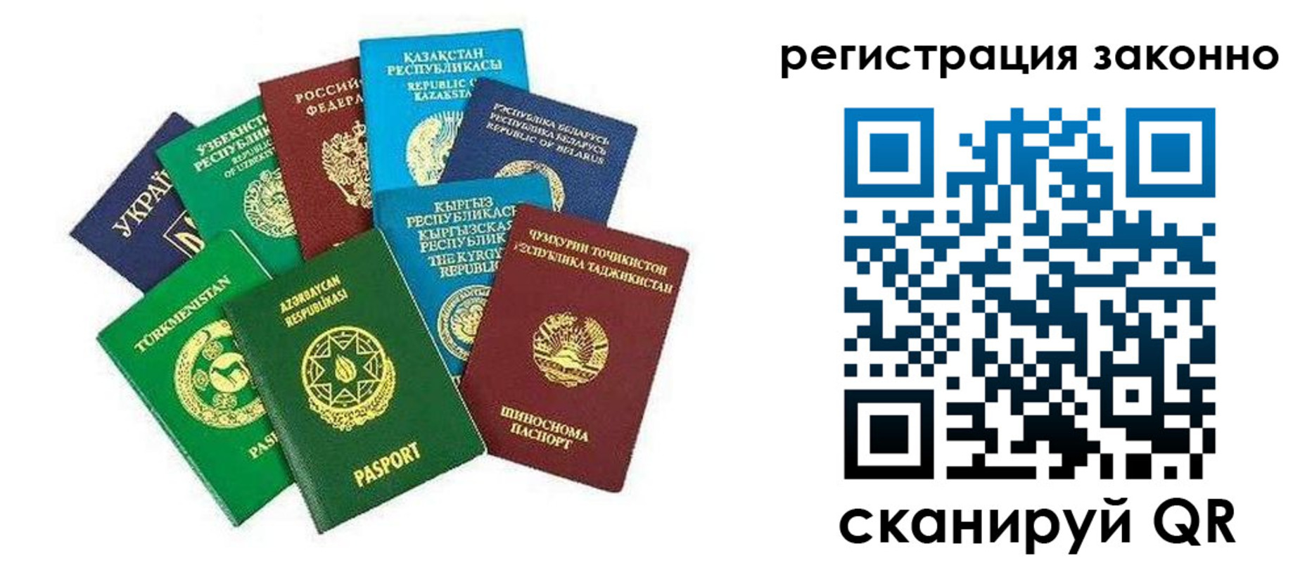 прописка 2025 в Североморске